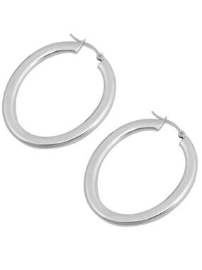Stainless Steel Oval Drop Earrings (NWOT)
